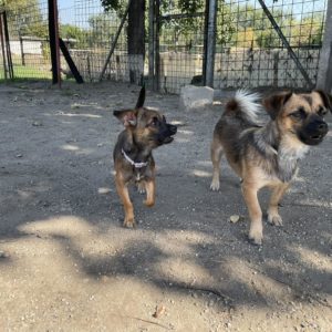 378372734_653047983607594_4137962981311573232_n 378372734_653047983607594_4137962981311573232_n