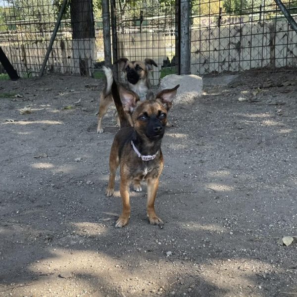 382697831_653047973607595_2360645502632374731_n 382697831_653047973607595_2360645502632374731_n