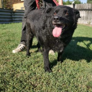 386086674_659209246324801_3305740580272706043_n 386086674_659209246324801_3305740580272706043_n