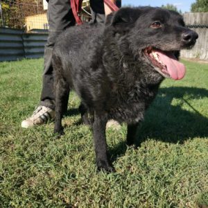 386091699_659209222991470_1384498199371659618_n 386091699_659209222991470_1384498199371659618_n