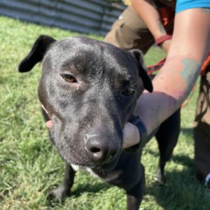 386103654_659214352990957_3752352392171419703_n 386103654_659214352990957_3752352392171419703_n