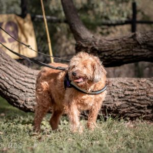 IMG_5132 1 IMG_5132 1