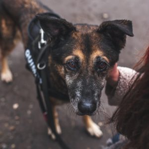 Quimby15_0 Quimby15_0