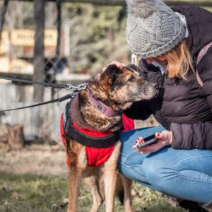 Quimby16_0 Quimby16_0