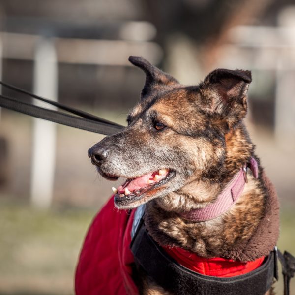 Quimby20_0 Quimby20_0