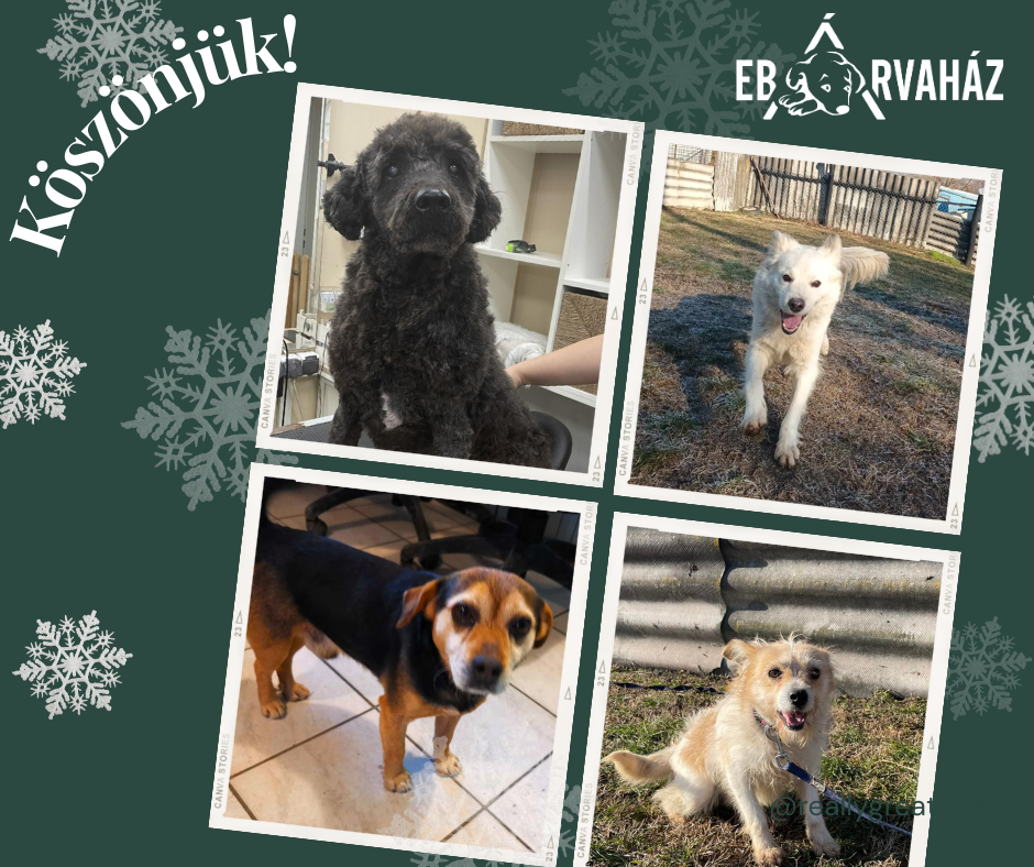 Köszönjük!_2024.01.