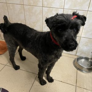 414478355_705184135060645_2346970657994003324_n 414478355_705184135060645_2346970657994003324_n