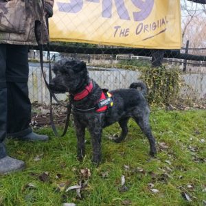 415181904_705890028323389_7113494225543985718_n 415181904_705890028323389_7113494225543985718_n