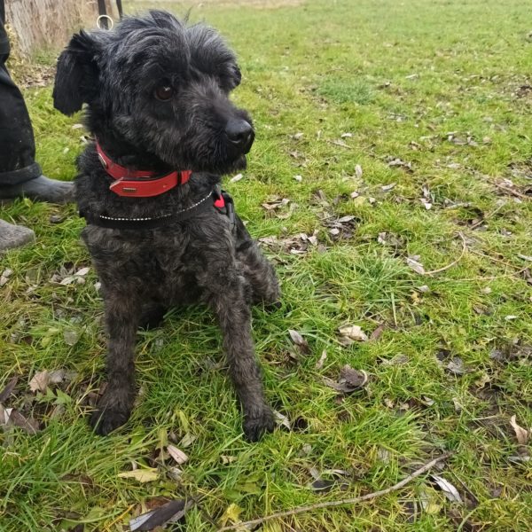 415984232_705890348323357_7881428118441112682_n 415984232_705890348323357_7881428118441112682_n