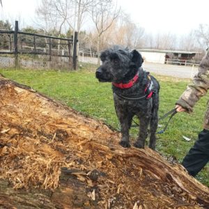 416027198_705889324990126_6527027702070830010_n 416027198_705889324990126_6527027702070830010_n