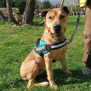 434843432_758772423035149_8094990208247919659_n