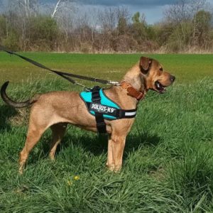 435942159_758772403035151_4099523553730427540_n