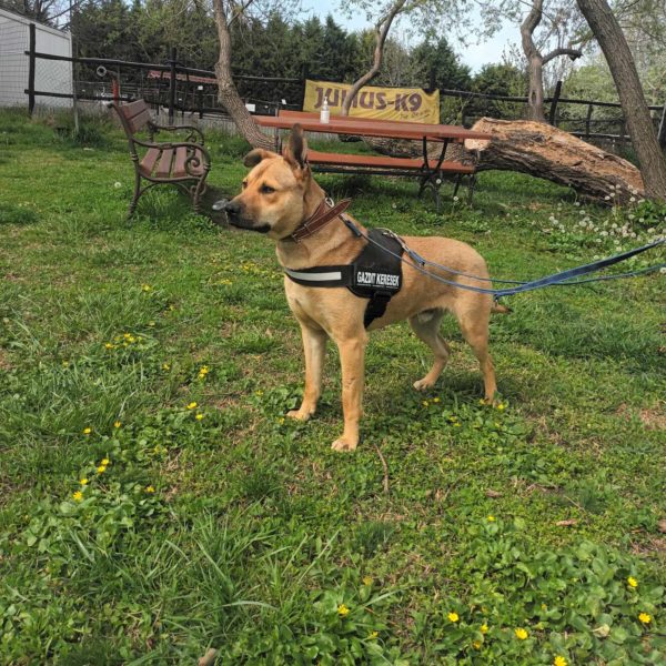 438725268_769995651912826_746540304194707996_n