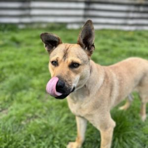 438762903_769995521912839_1626846163417109286_n