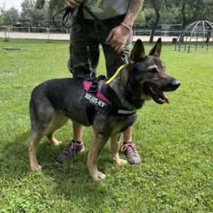 448176758_800585382187186_2594172545707764352_n