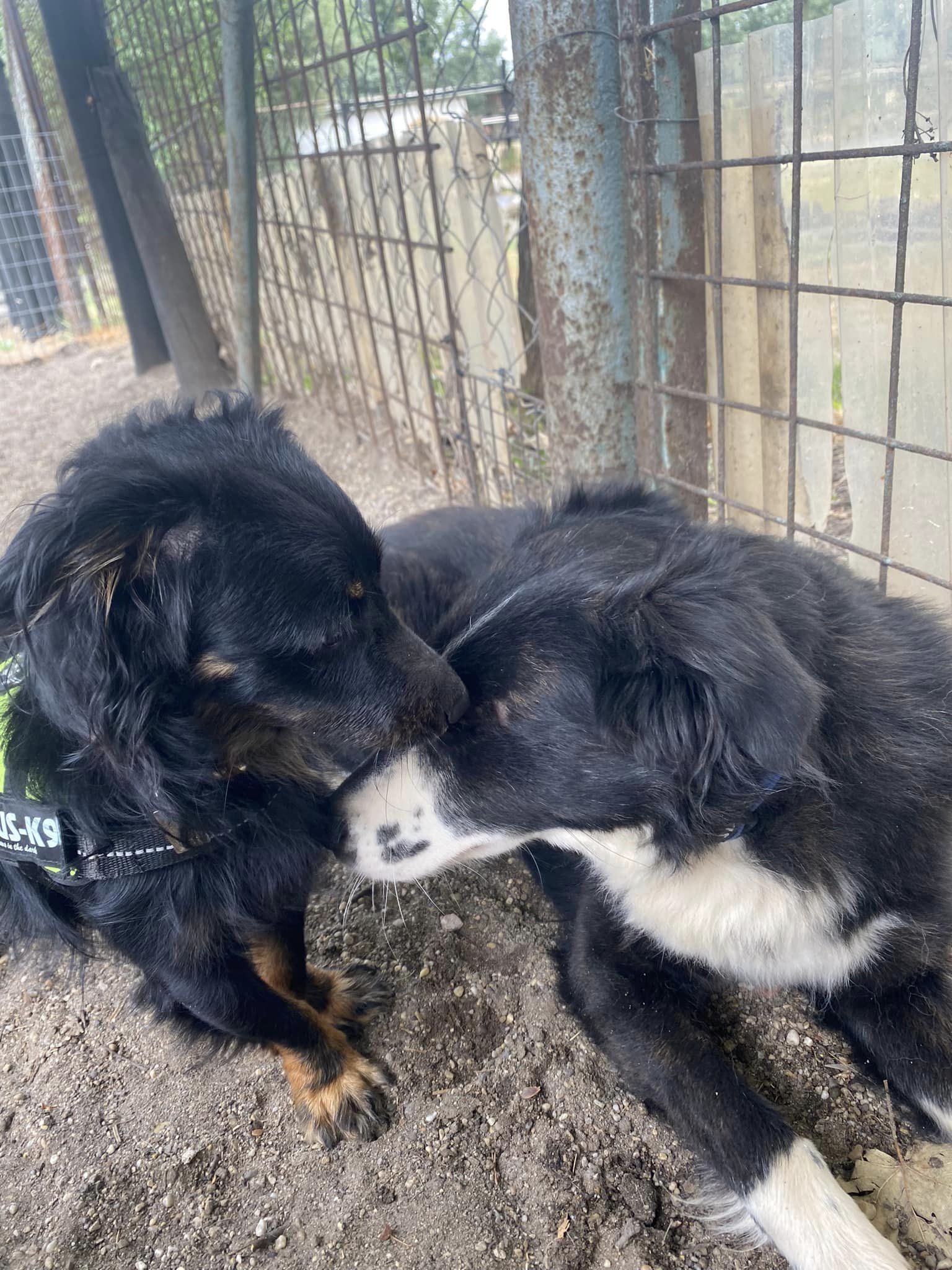 Puszedli-Drukker_2024.07.23.