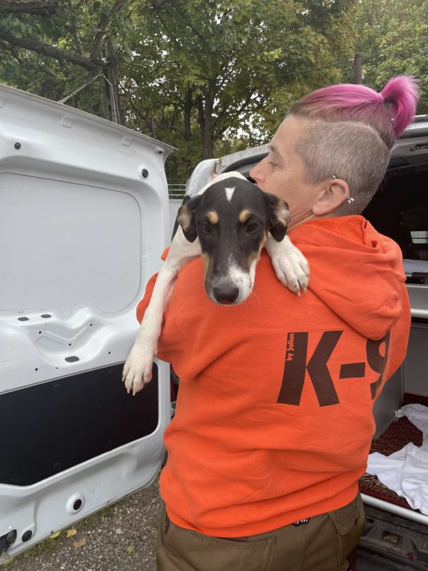 461280070_871315521780838_6367105036890392928_n