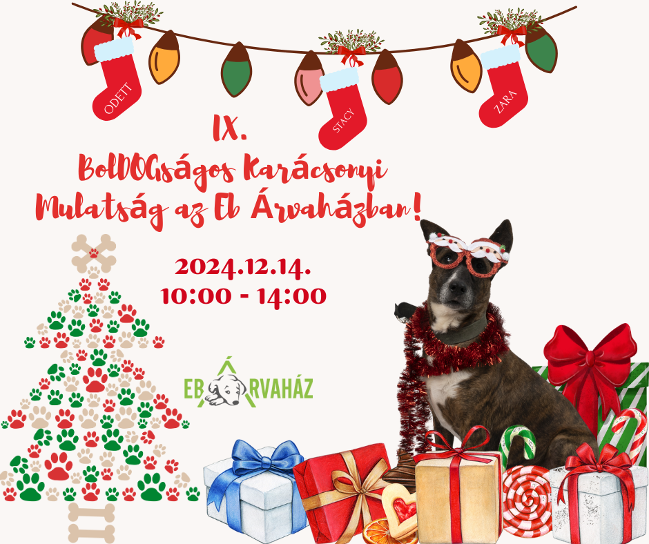 Fb méret_2024.12.14.