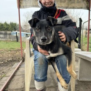 462574177_4036157563328501_5302836616861612384_n 462574177_4036157563328501_5302836616861612384_n