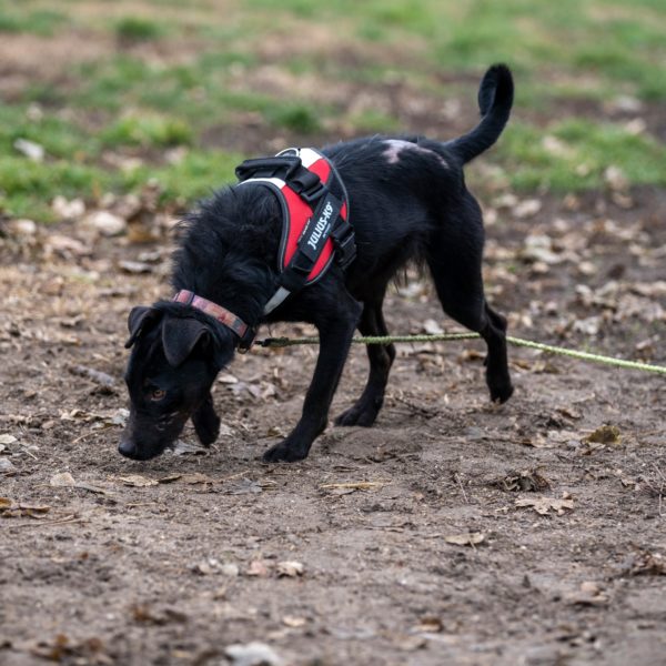 469077758_922090223370034_925428905299097332_n