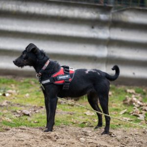 469150354_922090340036689_2721900494710391658_n