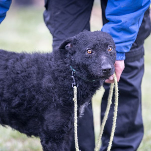 Mázli12_0 Mázli12_0