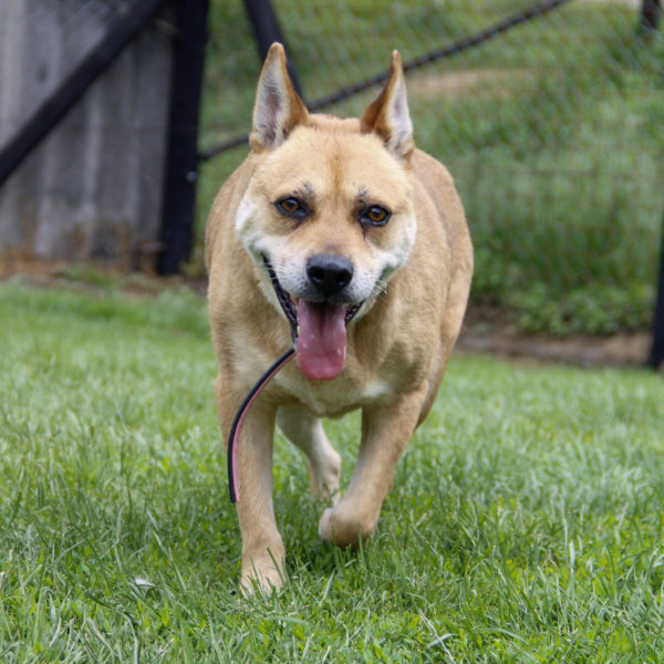 Pufirizsa3 Pufirizsa3