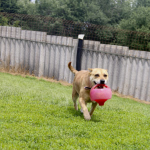 Pufirizsa4 Pufirizsa4