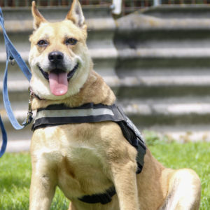 Pufirizsa27 Pufirizsa27