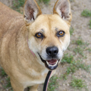 Pufirizsa4 Pufirizsa4