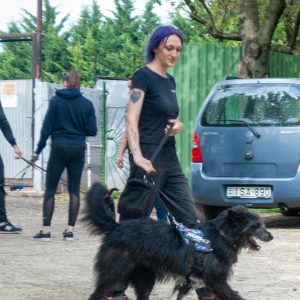 Széna24 Széna24